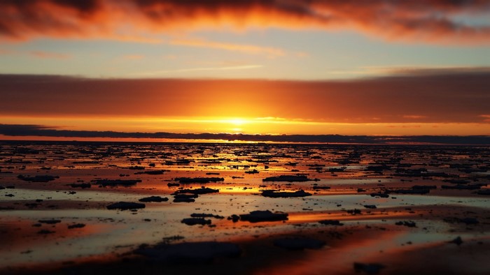 Sunset over ice floes