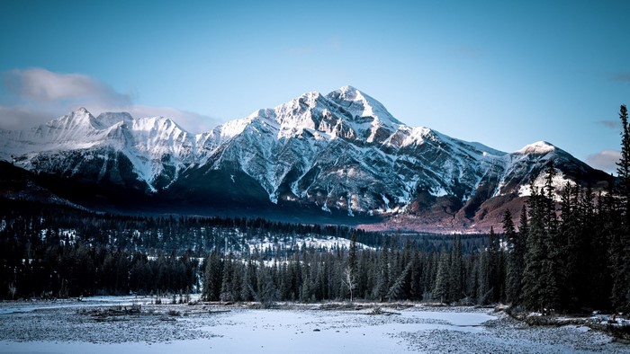 Snow-covered mountains and pine forest