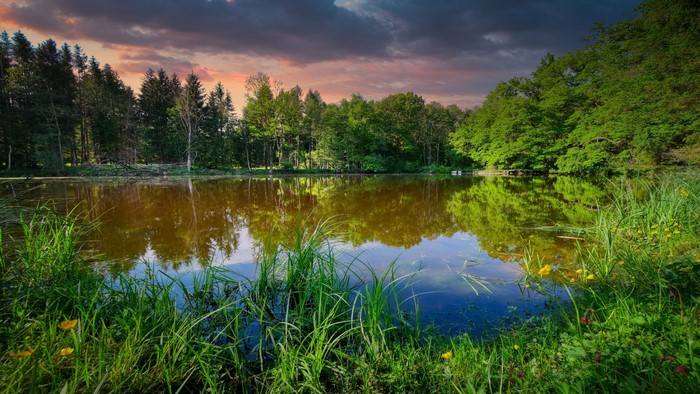 Lake and forest reflection at sunset