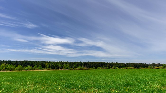 Green Meadow and Forest Under Blue Sky with Wispy Clouds
