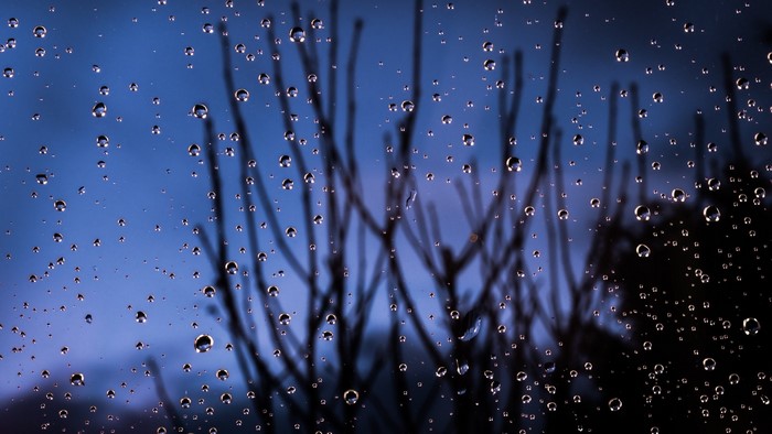 Water droplets on glass with bare branches