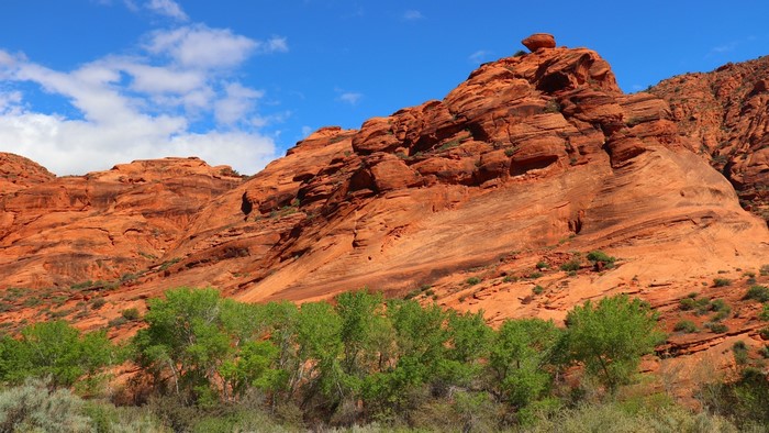 Red rock formations and green trees under blue sky