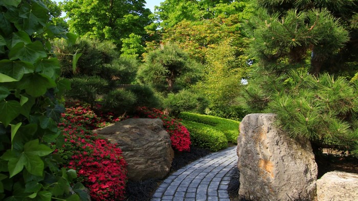 Japanese garden with stone path and red flowers