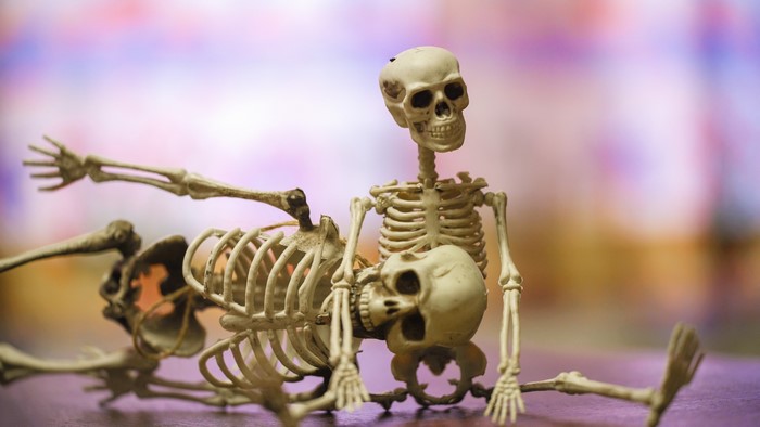 Two skeletons in a playful pose