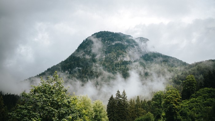 Misty Mountain Peak with Forest