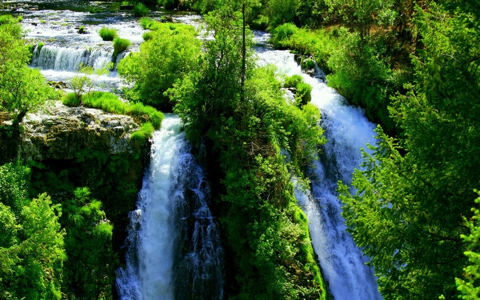 Waterfalls cascade through a lush green forest.