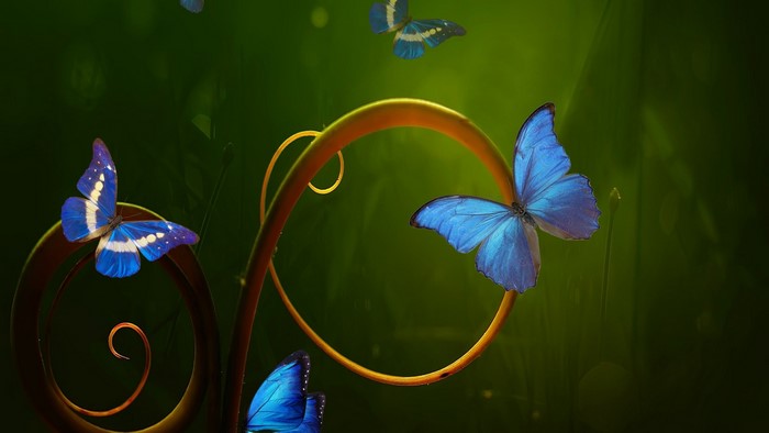 Blue butterflies on a decorative vine