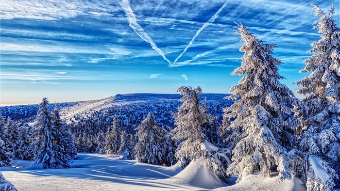 4K Snowy Mountain Landscape with Trees