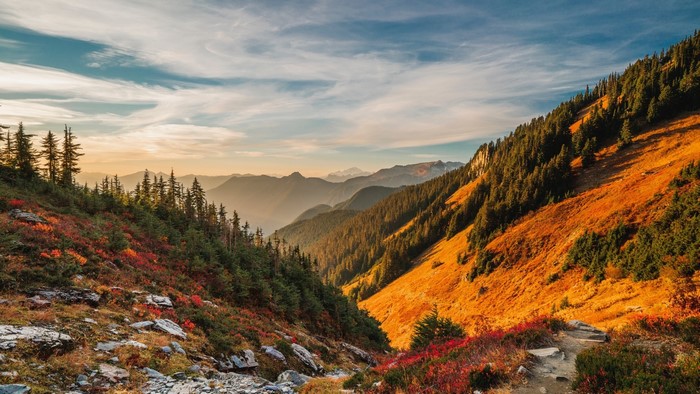 Mountain valley with autumn foliage and evergreen trees