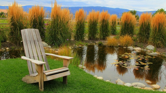 Wooden Adirondack chair by a pond with tall grasses