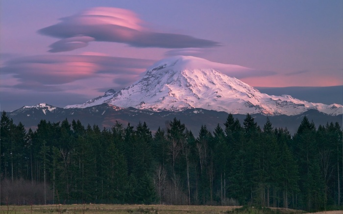 Snow-capped mountain with lenticular clouds over forest