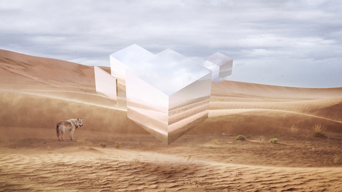 Wolf in a surreal desert with floating cubes