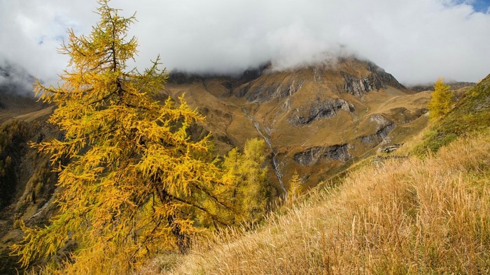 Autumn mountain landscape with yellow trees