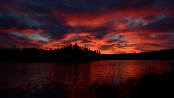 Sunset over a lake with silhouetted trees