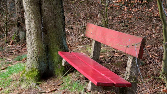Red wooden bench in a forest