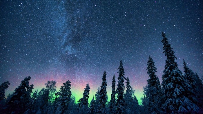 Northern Lights over snow-covered trees