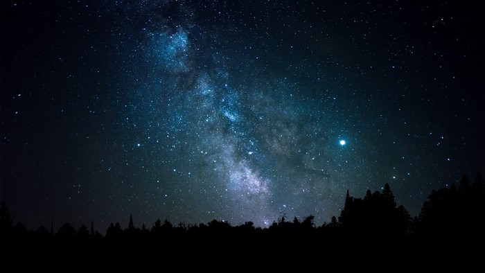 Starry night sky over a forest silhouette