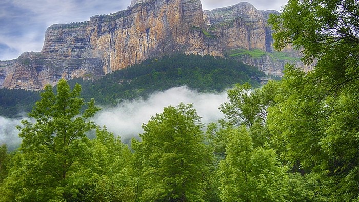 Mountain landscape with trees and fog