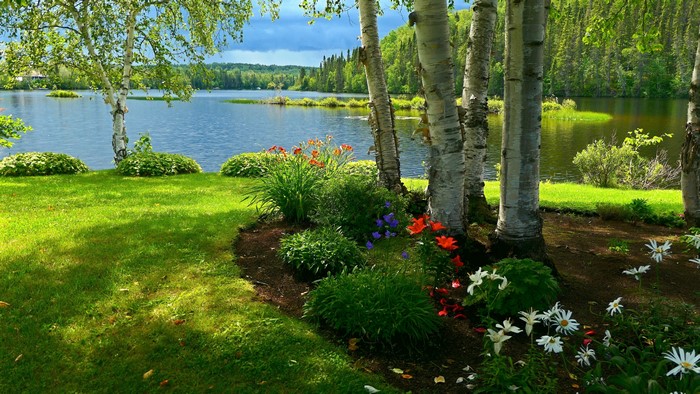 Landscape summer