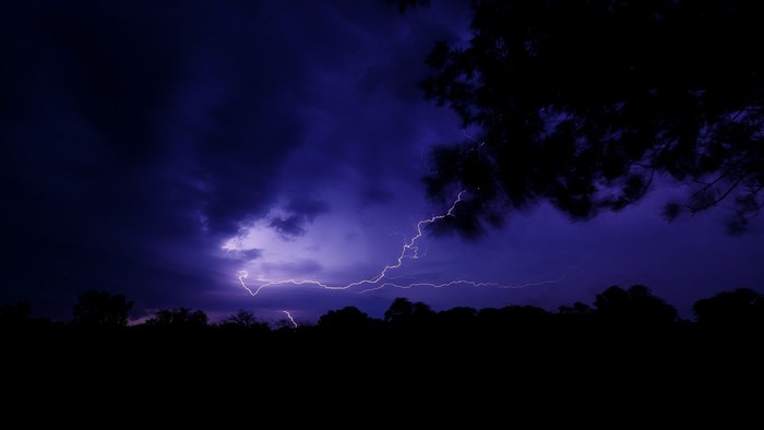 Lightning strikes dark stormy sky over silhouetted trees