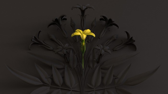 Yellow flower among black lilies