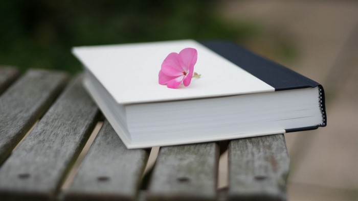 Book with pink flower on a wooden bench