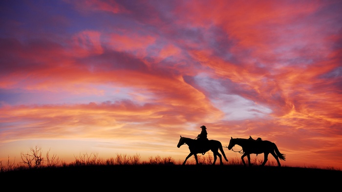 Cowboy and horses silhouette at sunset