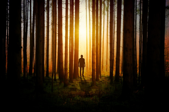 Silhouette of a person in a forest at sunset 4K