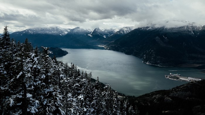 Snow-covered trees overlooking a lake and mountains