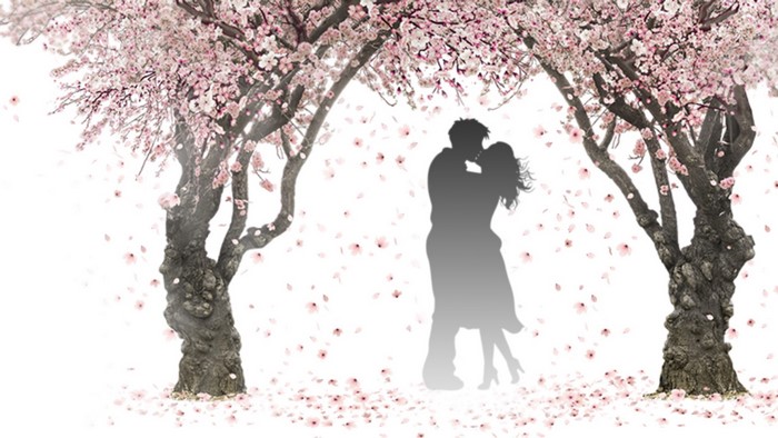 Couple kissing under blooming trees