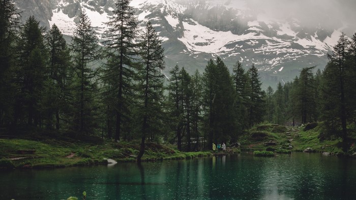 Lake and forest with snowy mountains