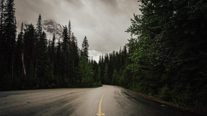 Road through a dark forest with mountains