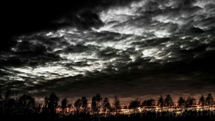 Dark clouds at dawn over silhouetted trees
