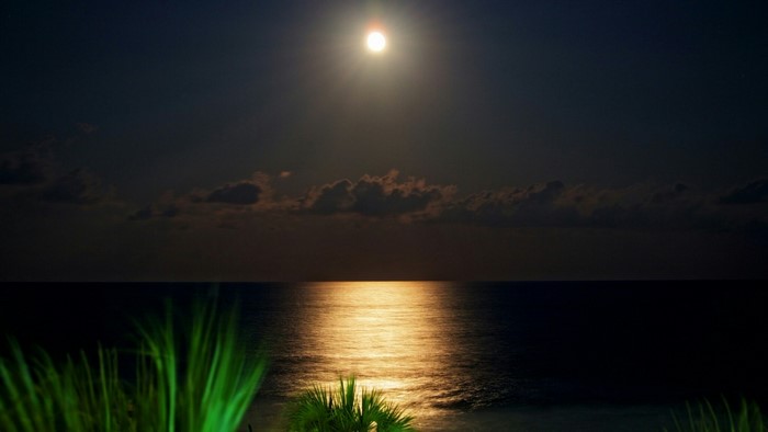 Moonlit ocean with clouds and grass