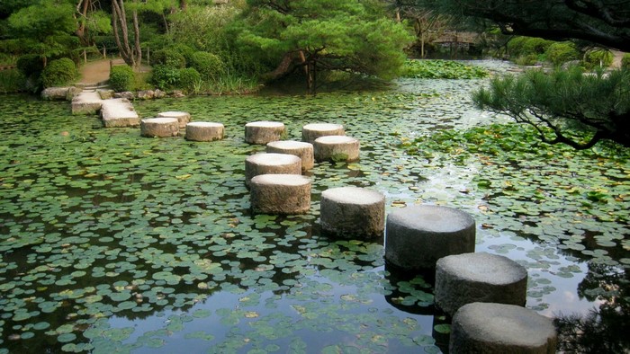 Stepping stones across a lily pad covered pond in a garden