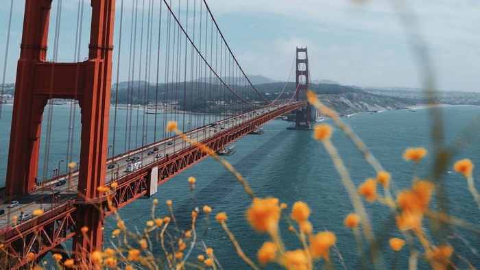 Golden Gate Bridge over the ocean with flowers