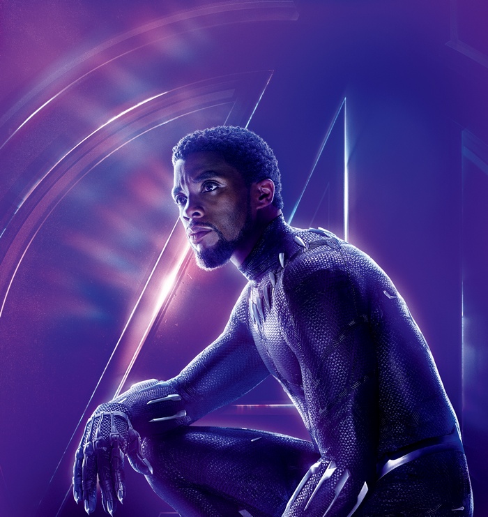 Black Panther from Avengers: Infinity War