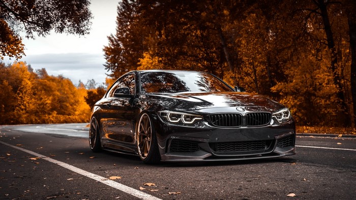 Black BMW 4 Series Coupe in Autumn