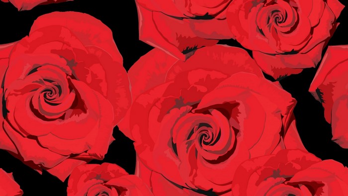 Red Roses on Black Background