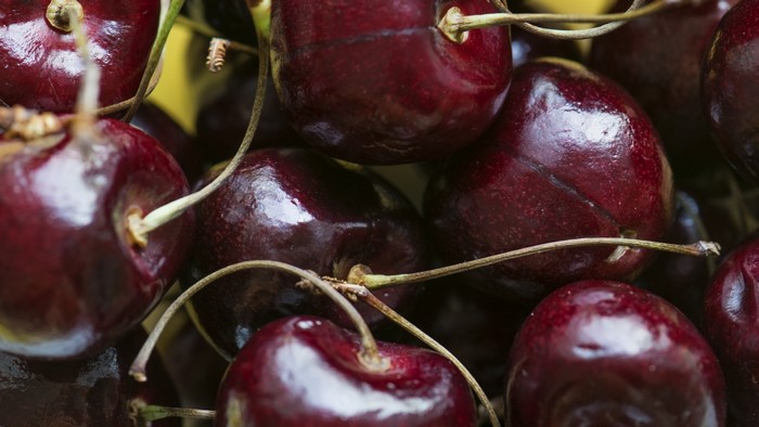 Close-up of dark red cherries with stems