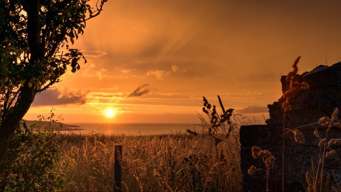 Sunset over the ocean with ruins and tree