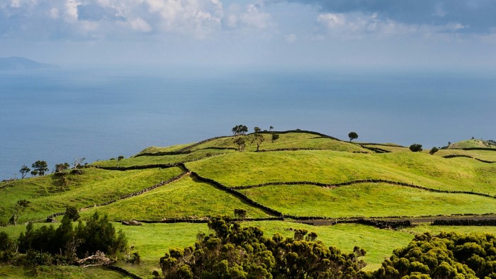 Green rolling hills with stone walls and the ocean