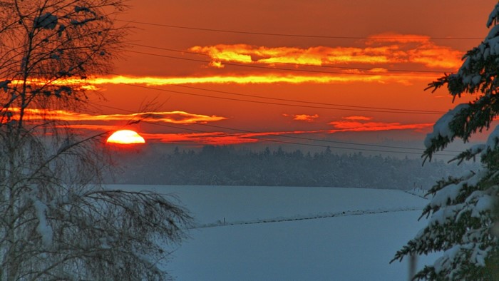 Winter sunset over a snowy field with trees