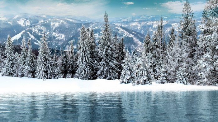 4K Snowy Mountains and Forest with Lake