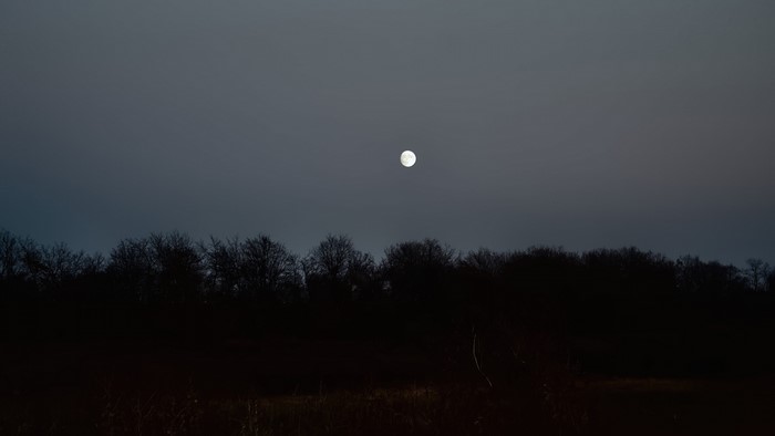 Full moon over a dark forest at night