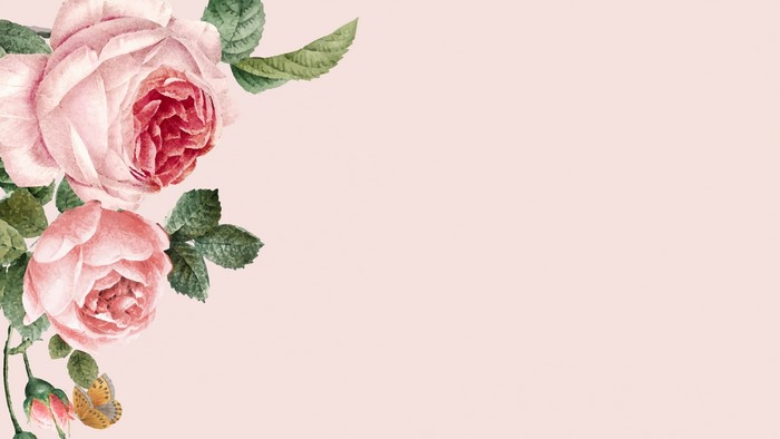 4K Vector Pink Roses and Butterfly