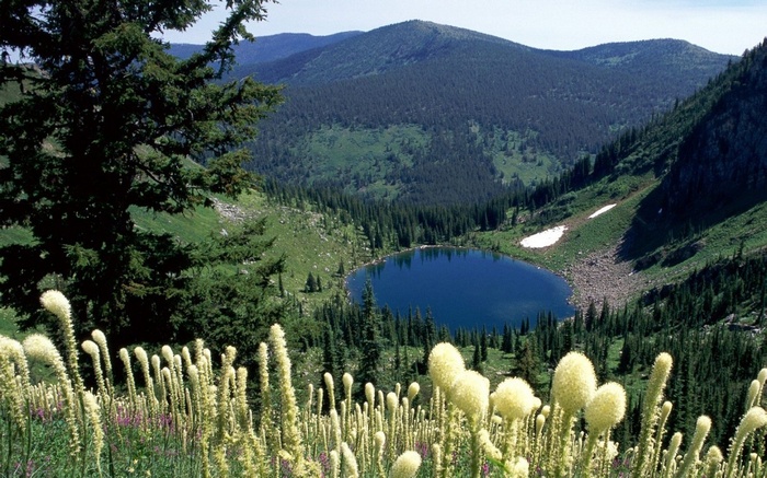 Alpine lake surrounded by pine trees and mountains