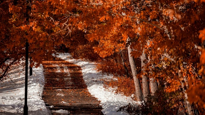 Autumn path with snow and orange leaves