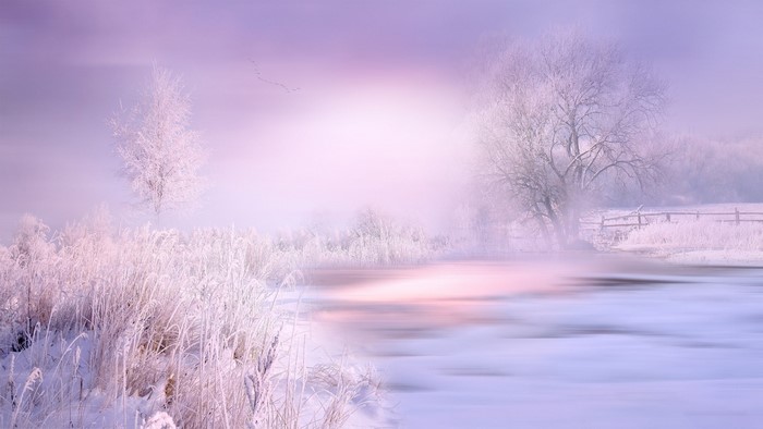 Winter landscape with frosted trees and a river