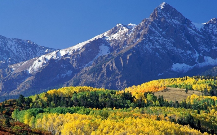 Snow-capped mountains above autumn forest